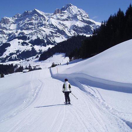 Hotel Des Alpes Adelboden Esterno foto