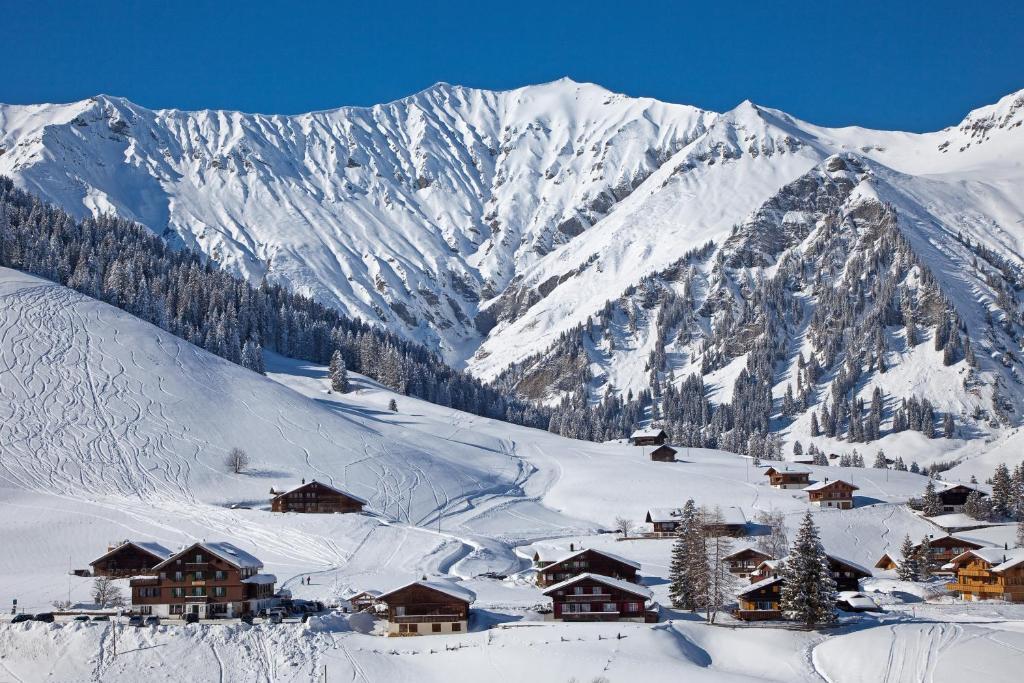 Hotel Des Alpes Adelboden Esterno foto