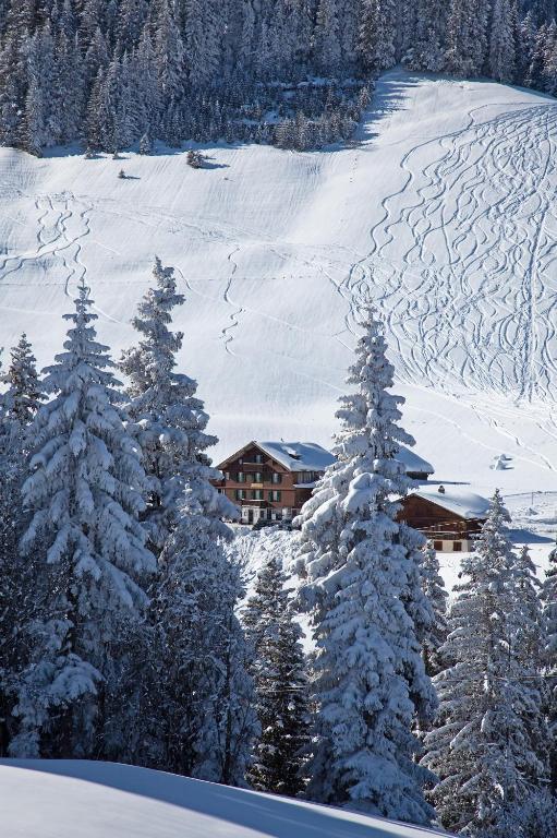 Hotel Des Alpes Adelboden Esterno foto