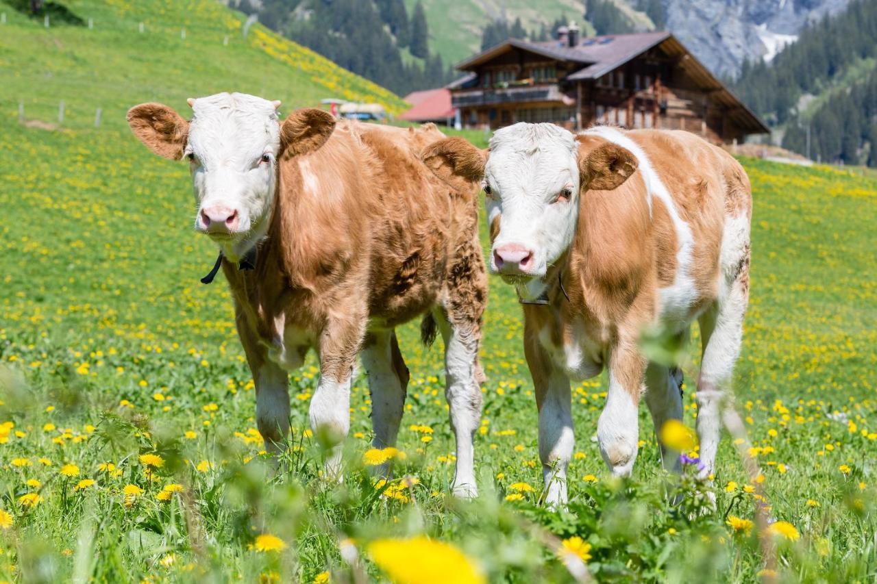 Hotel Des Alpes Adelboden Esterno foto