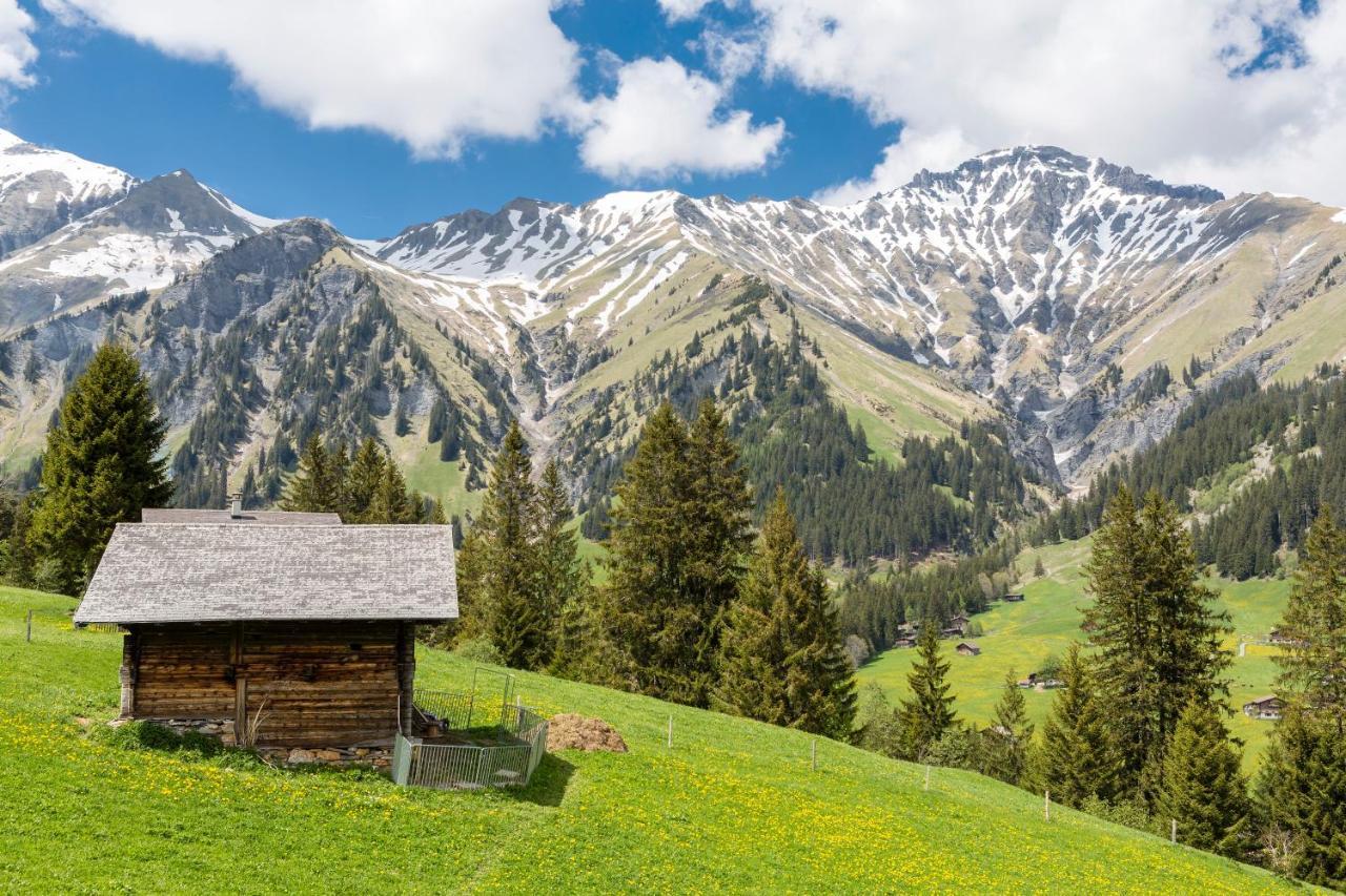 Hotel Des Alpes Adelboden Esterno foto